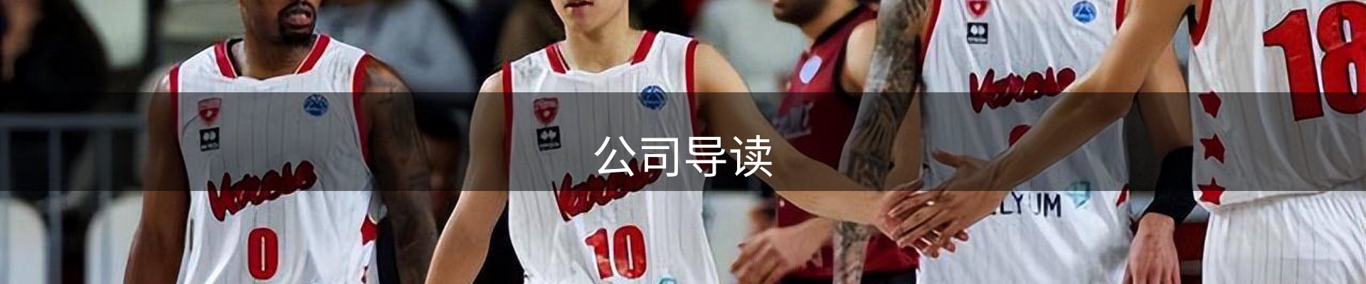 公司导读