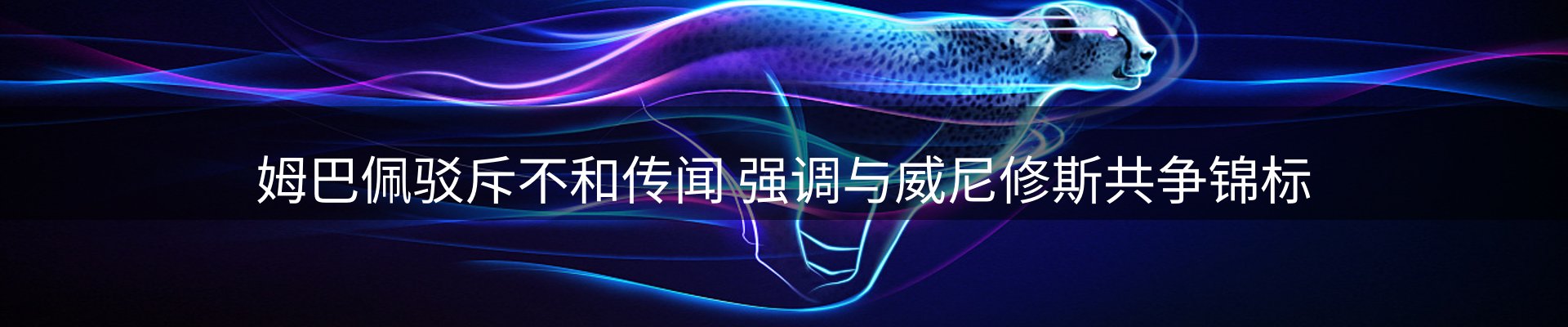 公司导读